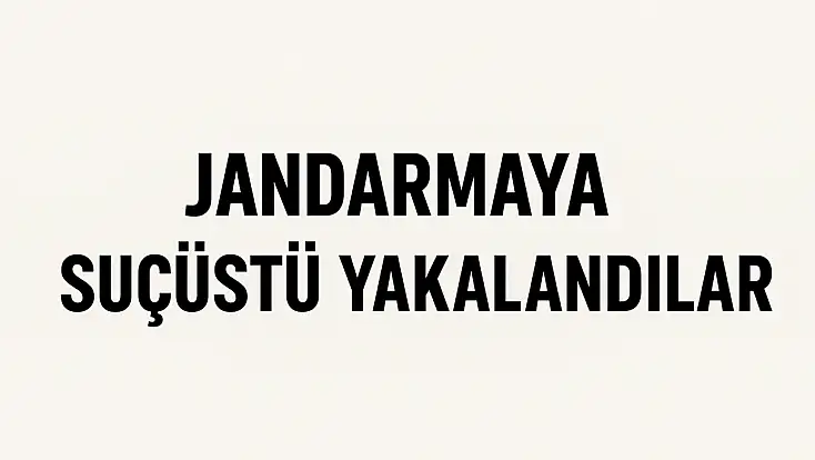 Jandarmaya suçüstü yakalandılar