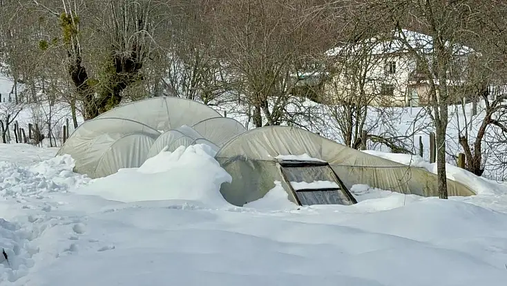 Kar birikintisine dayanamayan seralar çöktü