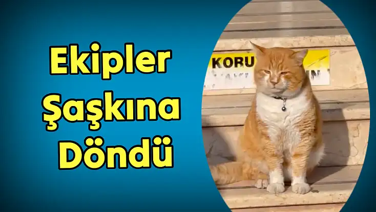 Ekipleri şaşkına çeviren olay