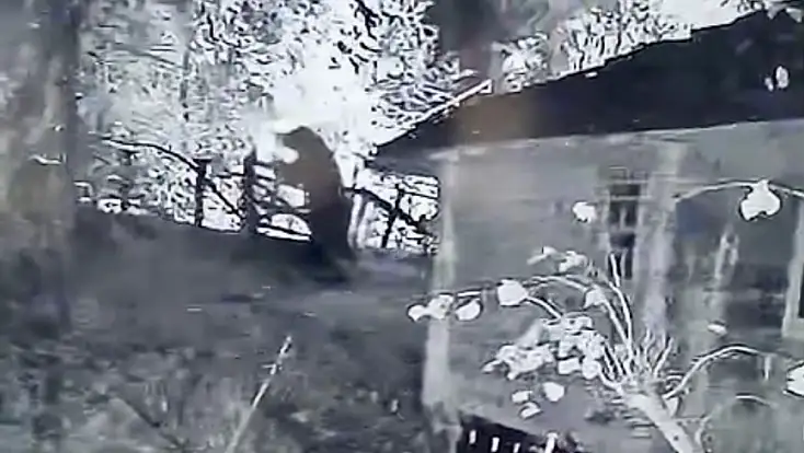 Gece kameraya yakalandı