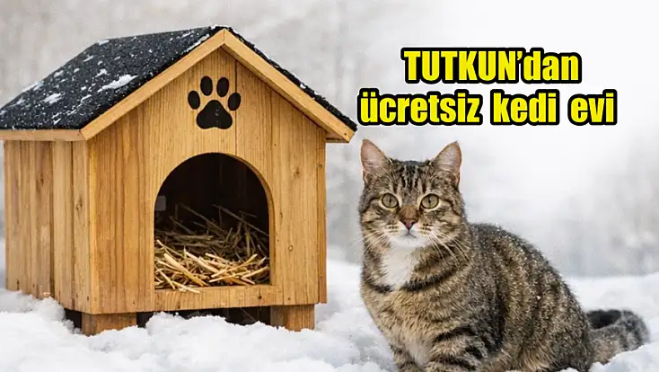 Tutkun’dan kediler için ücretsiz ev