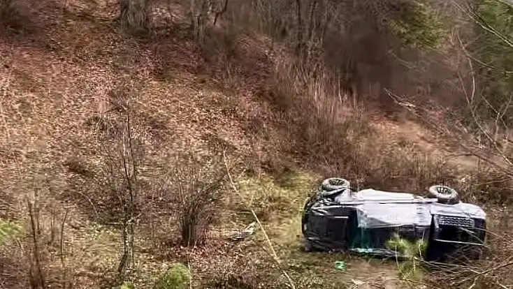 Yoğun siste şarampole yuvarlandı