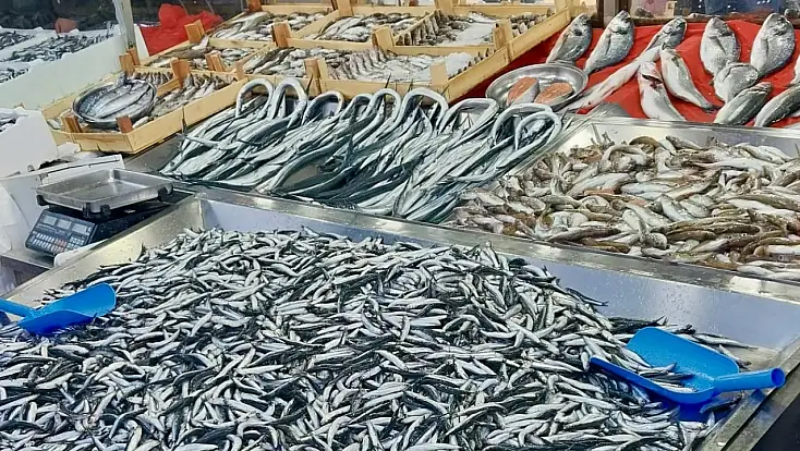 Mezgit kayığa çıkmıyor