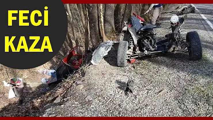 Ağaca çarpan otomobil parçalara ayrıldı