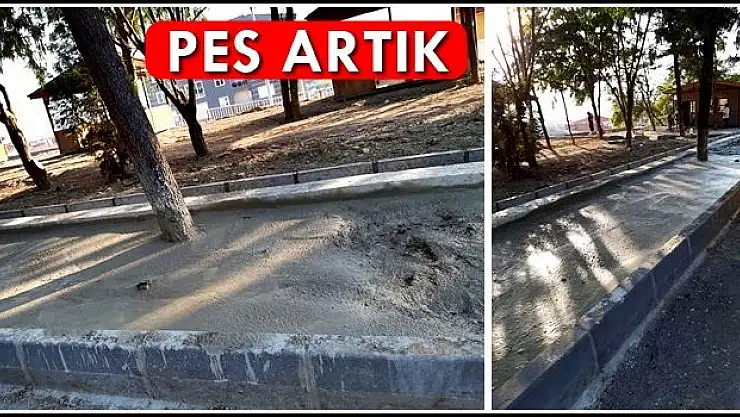 Ağaçların dibine beton döktüler