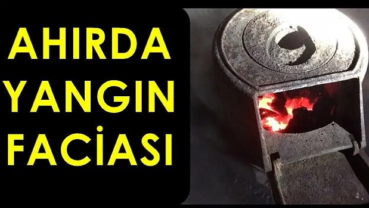 Ahırdaki soba faciaya neden oldu