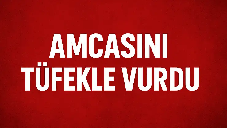 Aile içi tartışma kanlı bitti