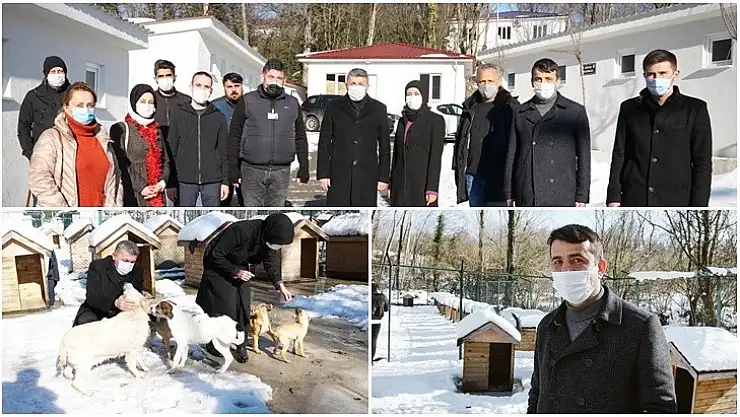 Ak Parti il yönetiminden barınak ziyareti