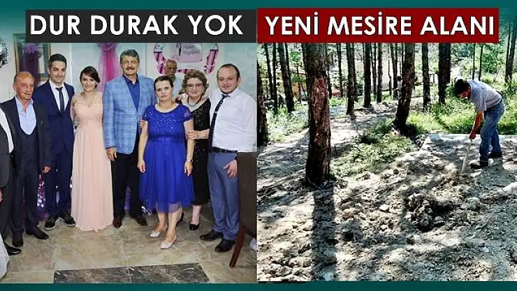 Aladağ'a yeni mesire alanı yapılıyor