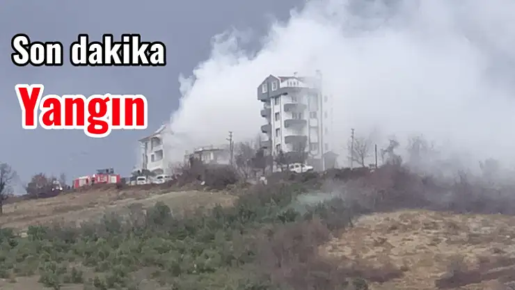 Aladağ tepesinde dumanlar yükseldi