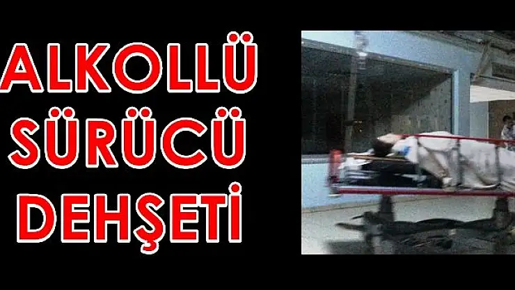 Alkollü Sürücü Park Halindeki Otomobile Çarptı, 2 Yaralı