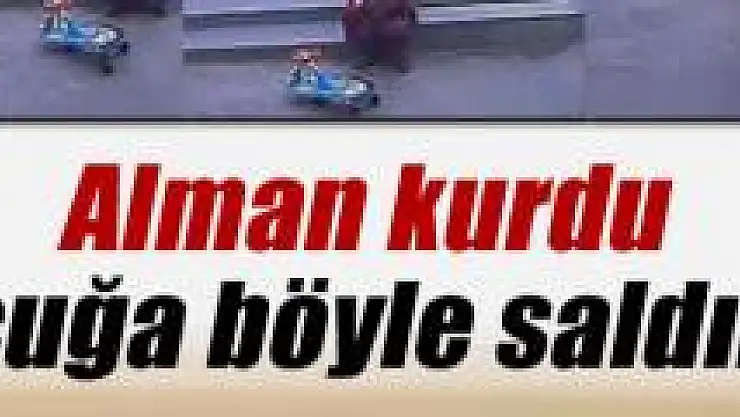 Alman kurdu çocuğa böyle saldırdı