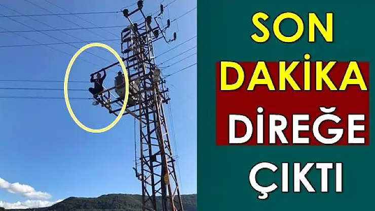 Amasra'da hareketli saatler!