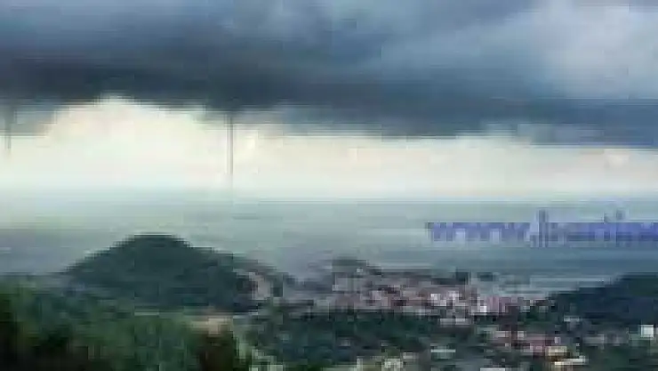 AMASRA'DA HORTUM PANİĞİ YAŞANDI
