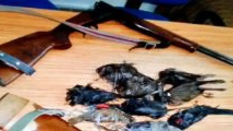 Amasra'da Kaçak Avlanan 2 Kişi yakalandı