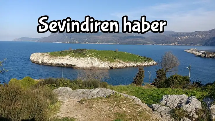 Amasra için iyi, Hattat için kötü oldu