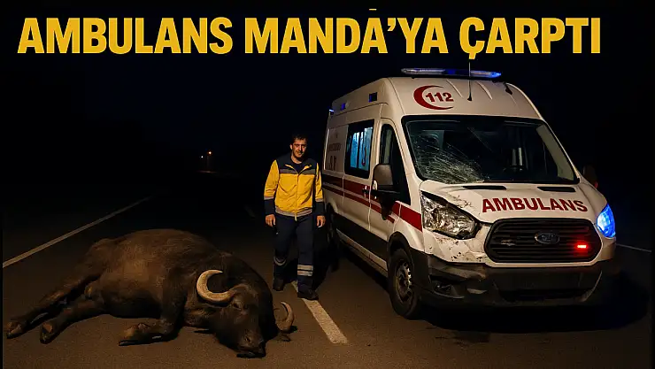 Ambulans mandaya çarptı