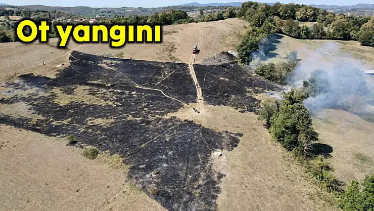 Arazide yangın çıktı