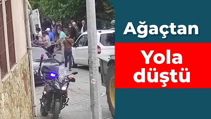 Asma caddesinde beklenmedik kaza