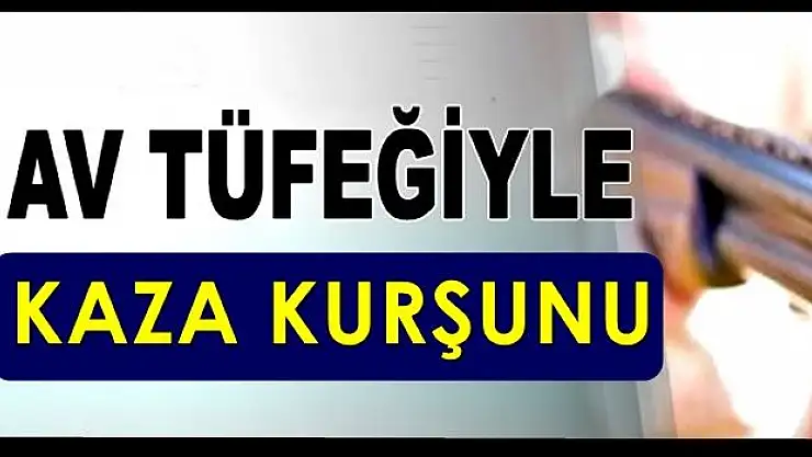 Avda kazayla arkadaşını vurdu