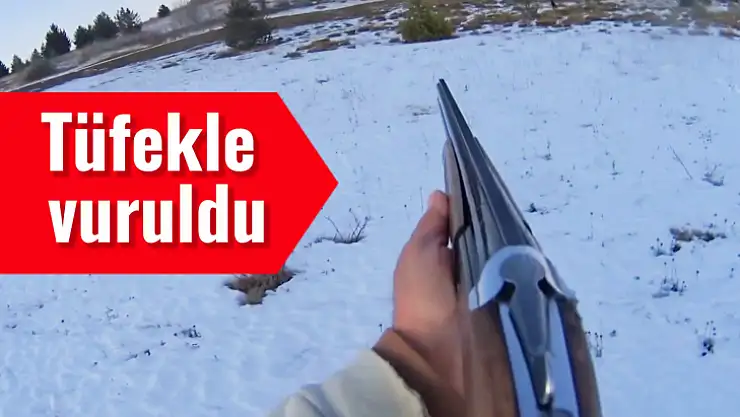 Avlanmaya gitti, tüfekle vuruldu