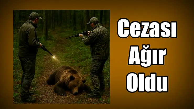 Ayı vuran iki şahıs yakalandı