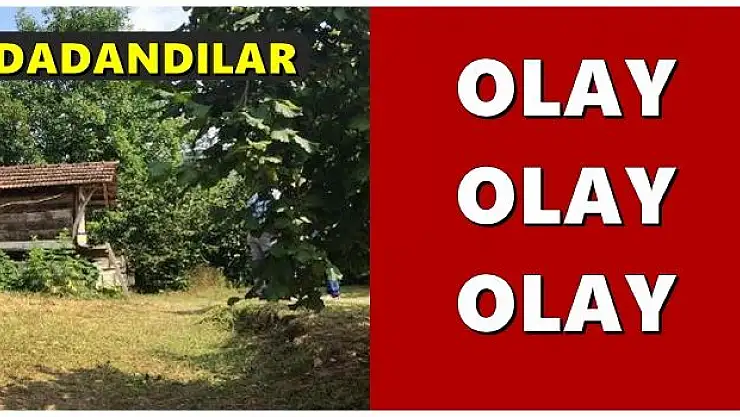 Aynı köyde iki ayrı olay