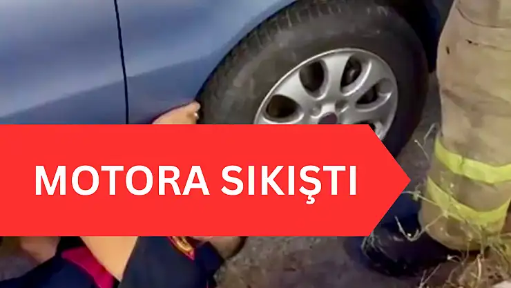 Bak şu yaramazın yaptığına