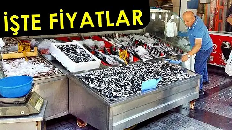 Balık Sezonu Açıldı, Tezgahlar Şenlendi