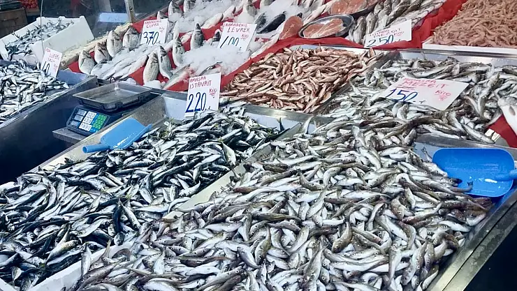 Balıkta sezon finali