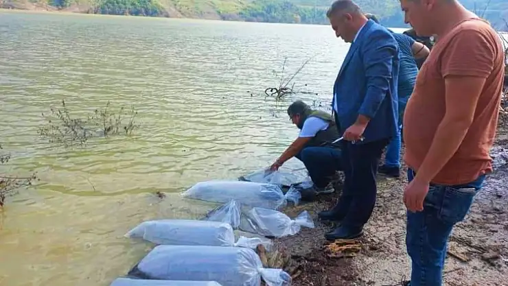 Baraja 85 bin adet bırakıldı