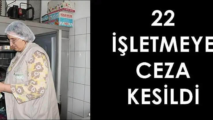 Bartın'da 22 İşletmeye Ceza Kesildi
