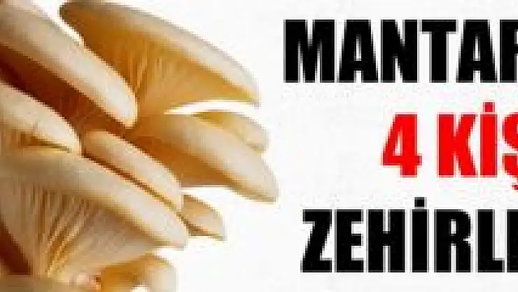 Bartın'da 4 kişi mantardan zehirlendi