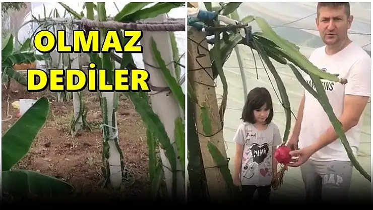 Bartın'da bir ilki gerçekleştirdi