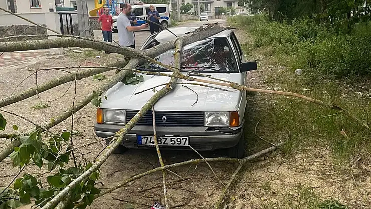 Bartın'da Fırtına ağaçları devirdi