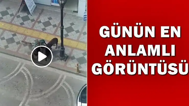 Bartın'da günün en anlamlı görüntüsü
