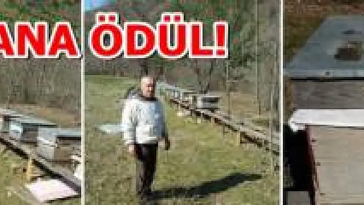 Bartın'da hırsızlar arı kovanlarını çaldı