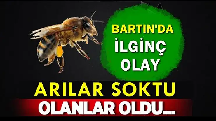 Bartın'da ilginç olay