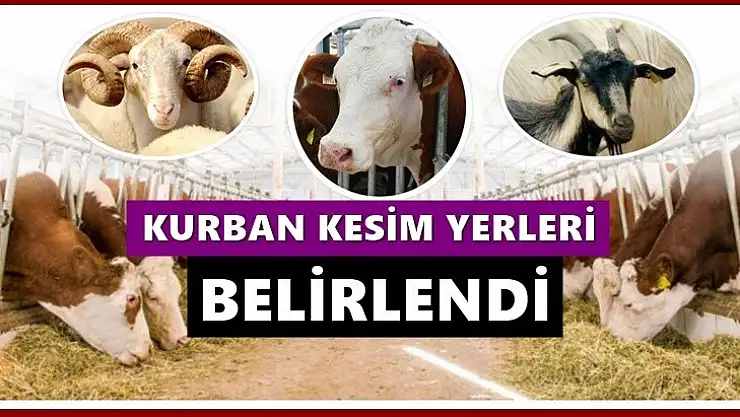 Bartın'da Kurban kesim yerleri belirlendi