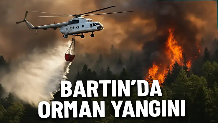 Bartın'da orman yangını çıktı