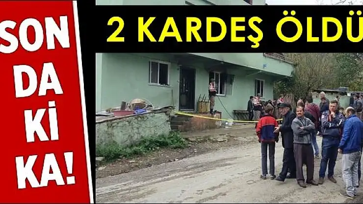 Bartın'da Yangın Dehşeti: 2 Çocuk Öldü