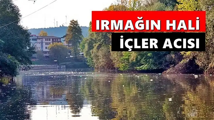 Bartın Irmağı çöpleri yüzümüze vuruyor