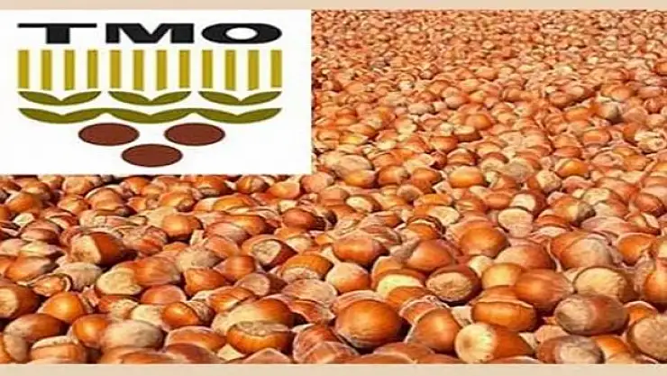 Bartınlı fındık üreticilerine müjde!