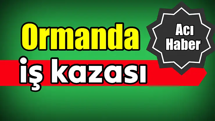 Başına dal çarptı