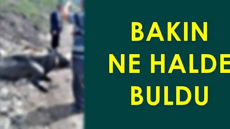 Belediye ekipleri yardıma koştu