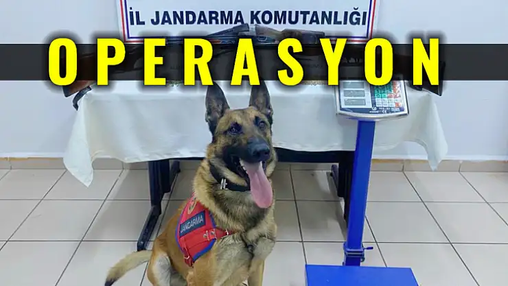 Belirlenen adrese baskın