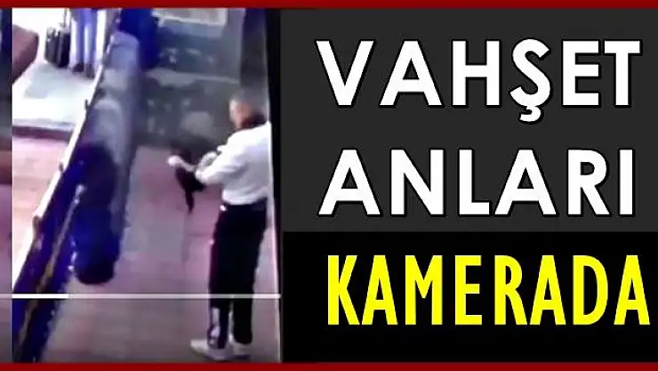 Bu görüntüler ortalığı ayağa kaldırdı