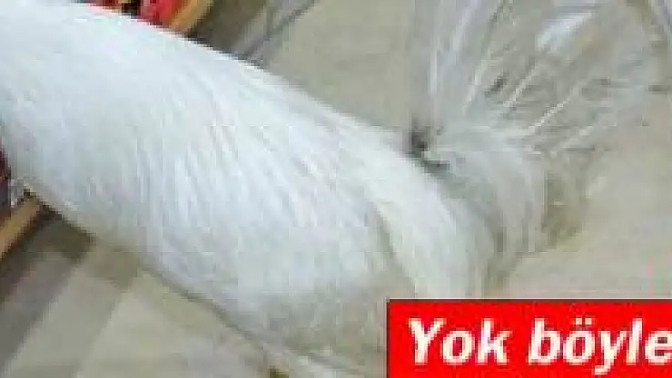 Bu Horozu gören gözlerine inanamıyor