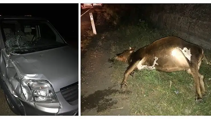 Bu kaçıncı kaza, yine bir can gitti
