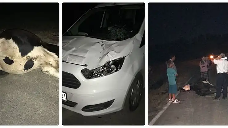 Bu kaçıncı uyarı, yine bir can gitti